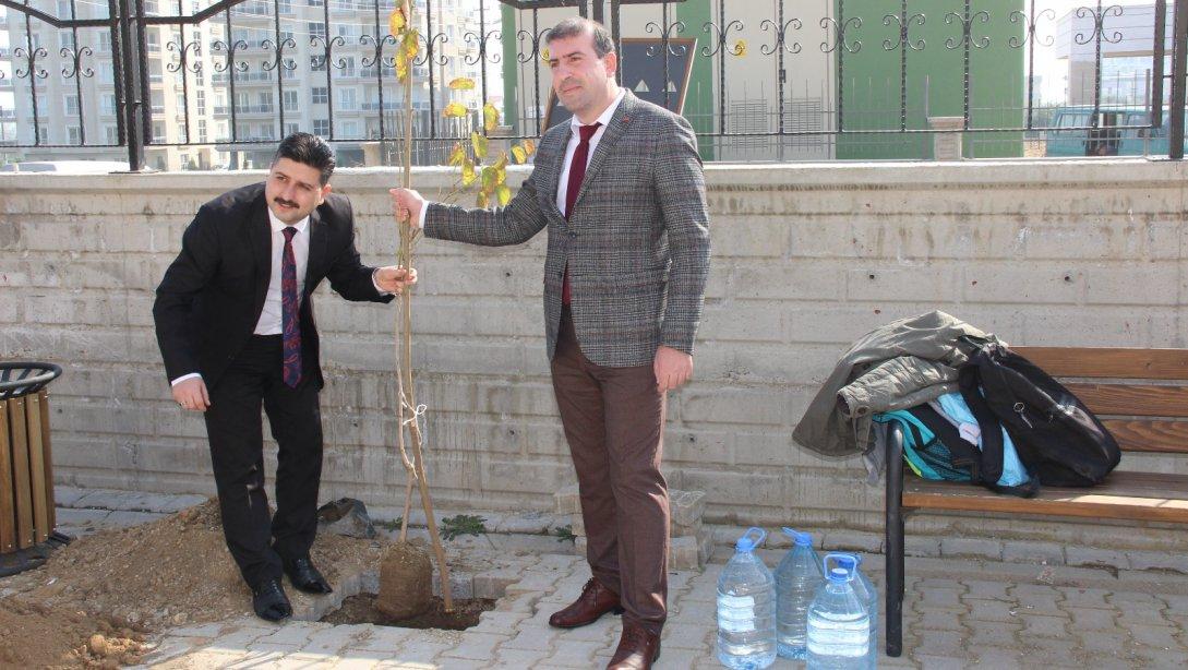 İlçemiz Köşk Ayla Vural Anadolu Lisesinin "Okulumla Sosyalleşiyorum" Projesi kapsamında ağaç dikme etkinliği gerçekleştirildi.